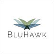 BluHawk Logo